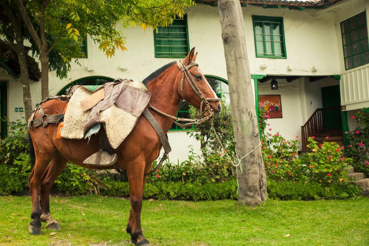 Posada Ingapirca Екстер'єр фото